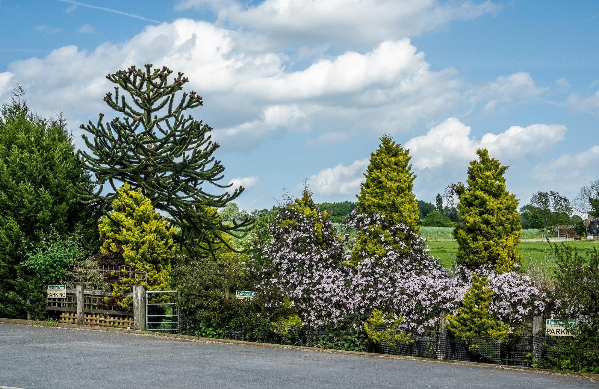 Upside Down House - Sleeps Up To 6 Guests - Great For Family And Friends Gatherings,Corporate Events ,Near Sherwood Forest At Fairview Farm In Nottingham Set In 88 Acres المظهر الخارجي الصورة